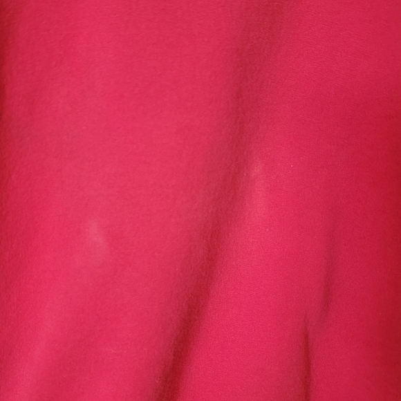 Champion Sweatshirt  early 2000s thick red with navy logo fits like xl - Picture 3 of 5